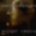 Swinger camping adults Arkansas